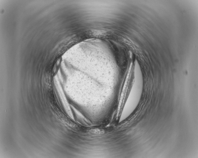 X0000087000421200705141811