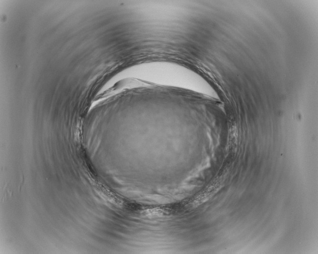 X0000087000423200705141811