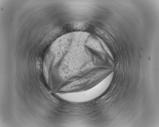 X0000087000424200705141811