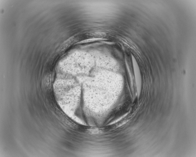 X0000087000425200705141811