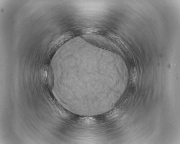 X0000087000427200705141811