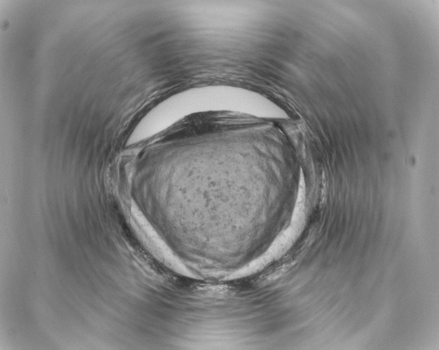 X0000087000428200705141811