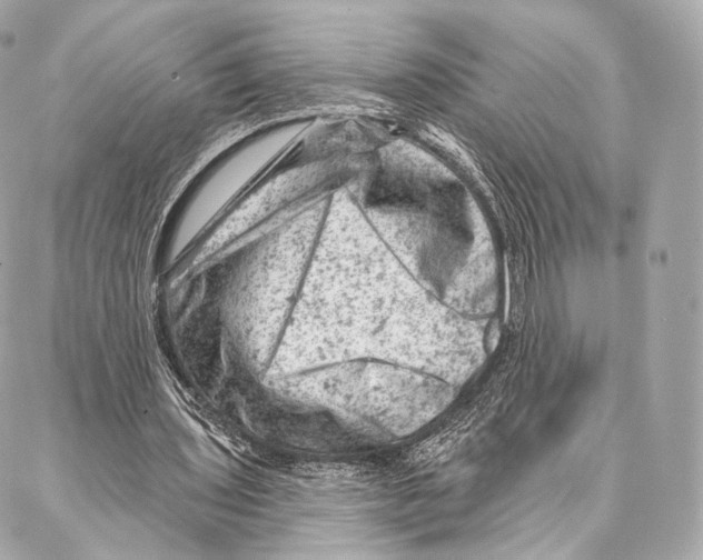 X0000087000435200705141810