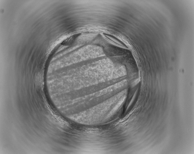 X0000087000438200705141810