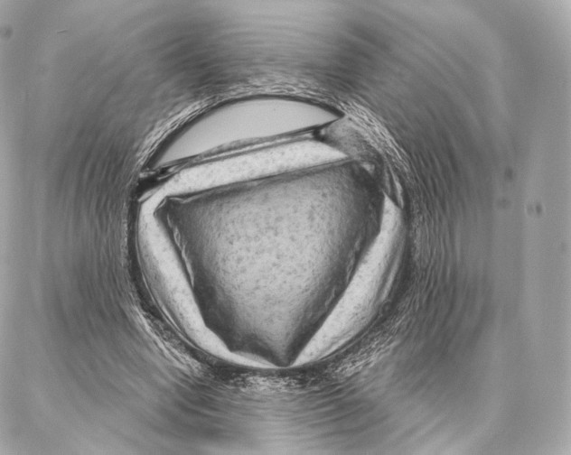 X0000087000442200705141810