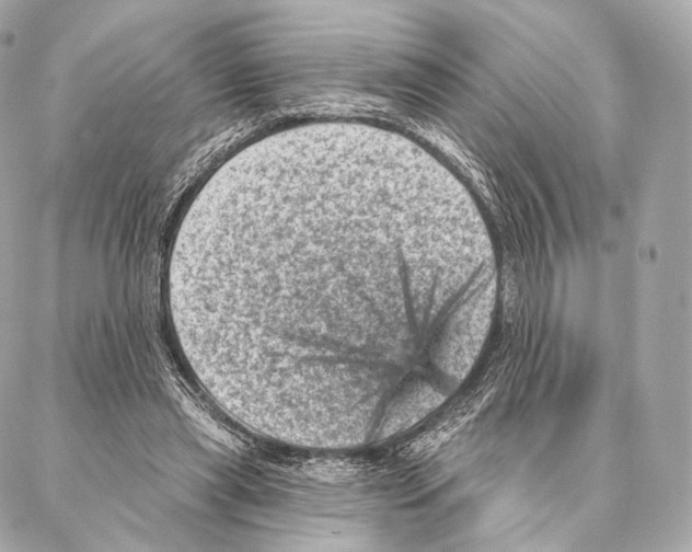 X0000087000445200705141810