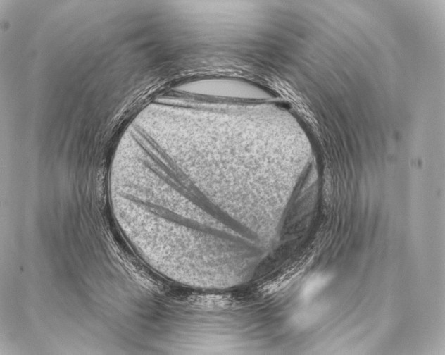 X0000087000449200705141810