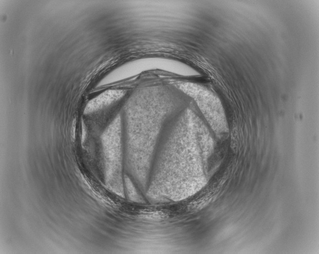 X0000087000454200705141810