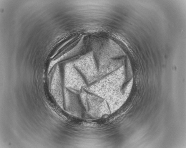 X0000087000455200705141810