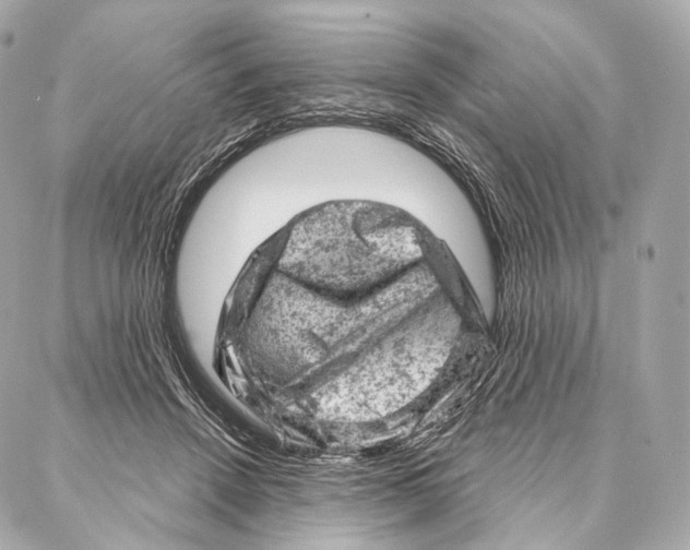 X0000087000456200705141810