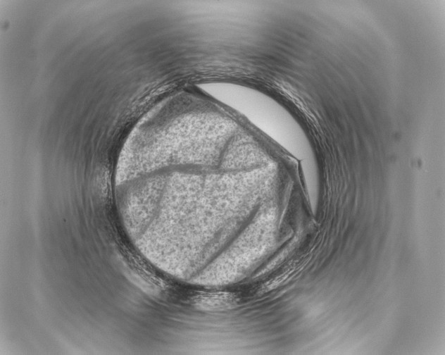 X0000087000459200705141810