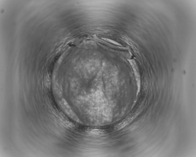 X0000087000467200705141810