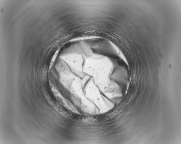 X0000087000468200705141810