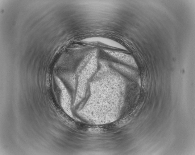X0000087000470200705141810