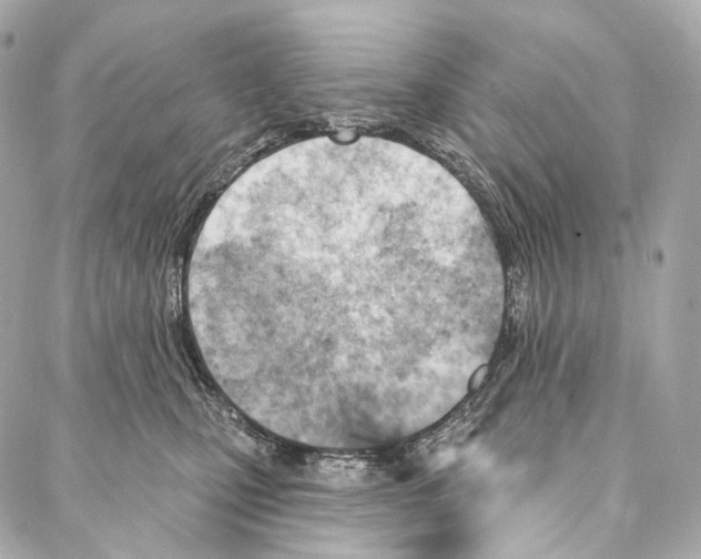 X0000087000471200705141810