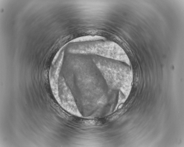 X0000087000473200705141810