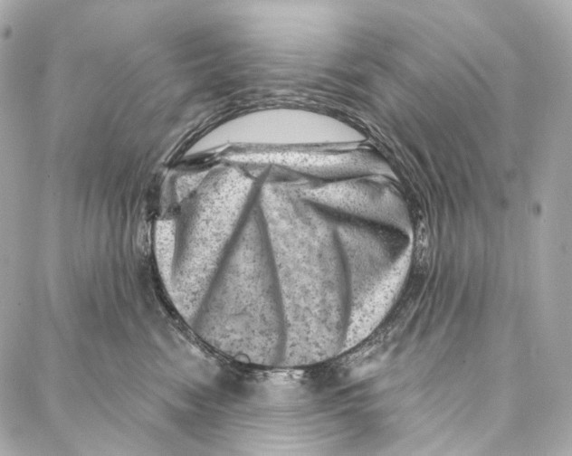 X0000087000474200705141810
