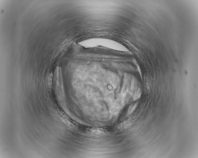 X0000087000475200705141810