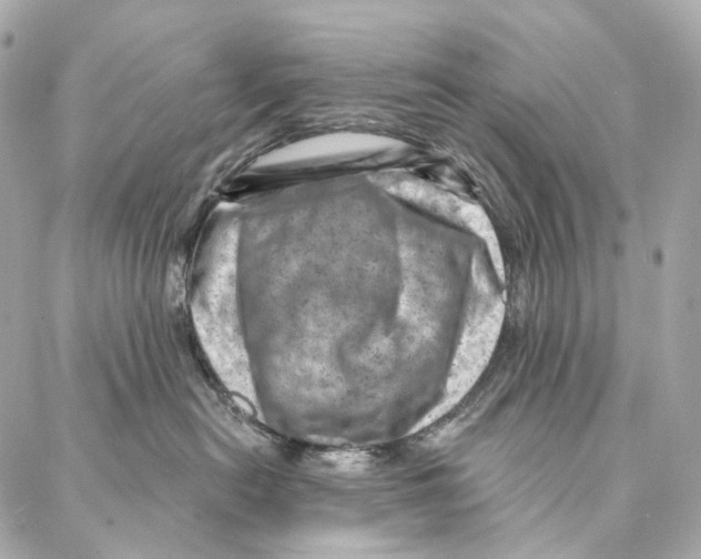 X0000087000478200705141810