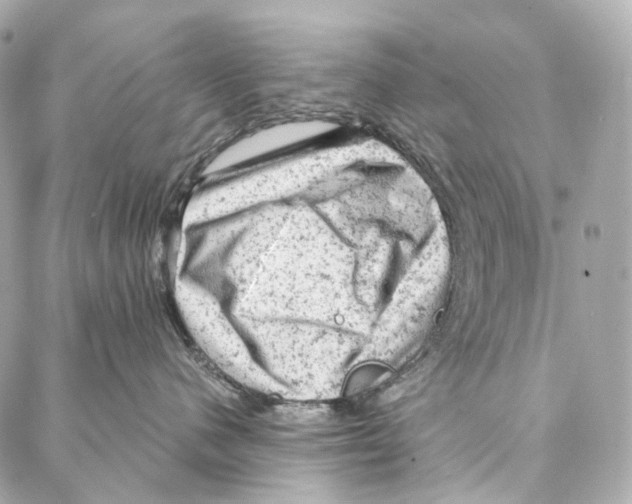 X0000087000480200705141810