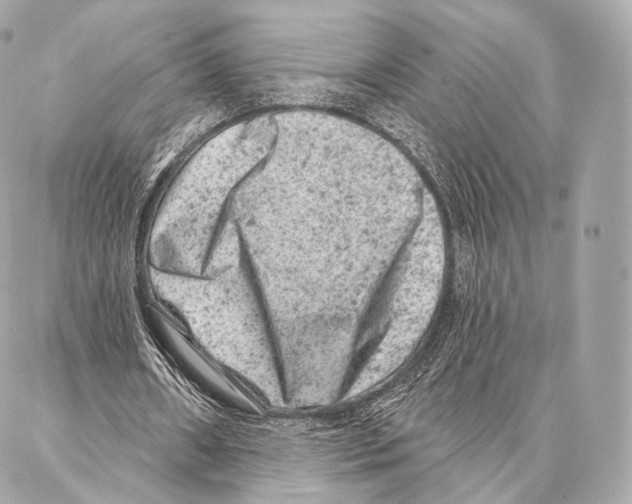 X0000087000482200705141810