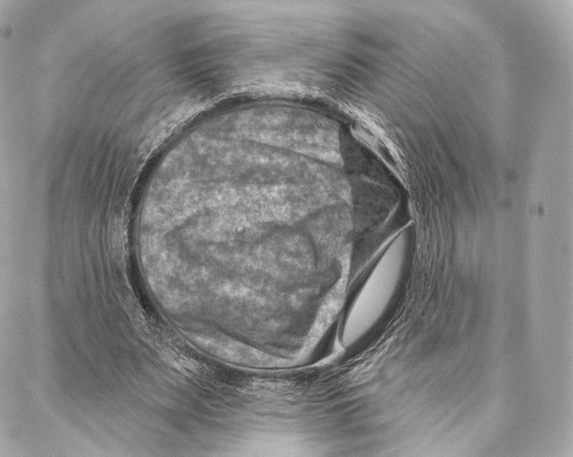 X0000087000487200705141810