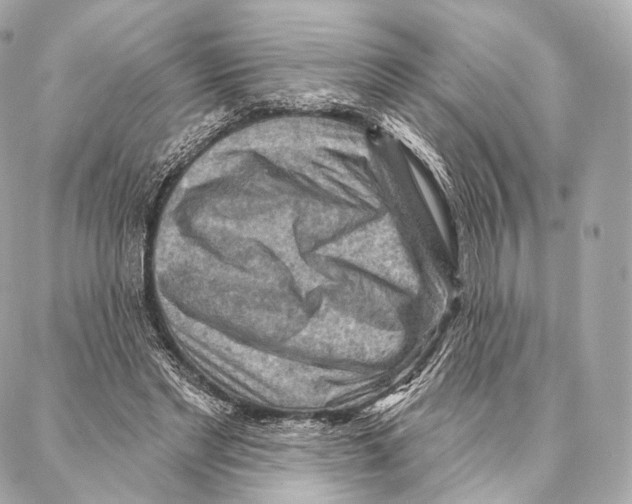 X0000087000493200705141809