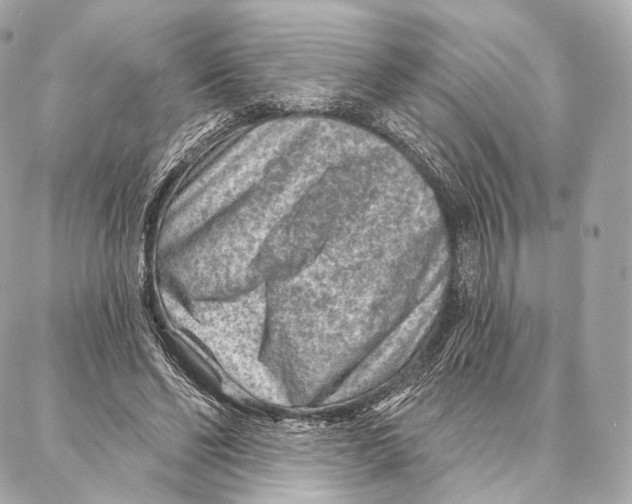 X0000087000494200705141809