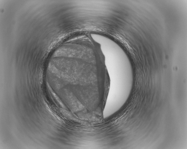 X0000087000496200705141809