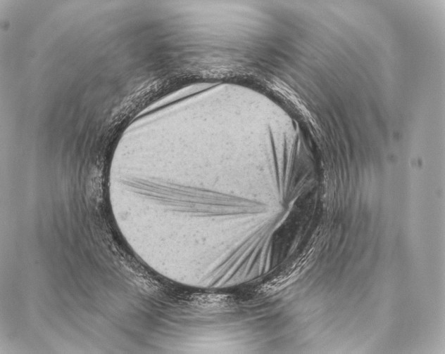 X0000087000497200705141809