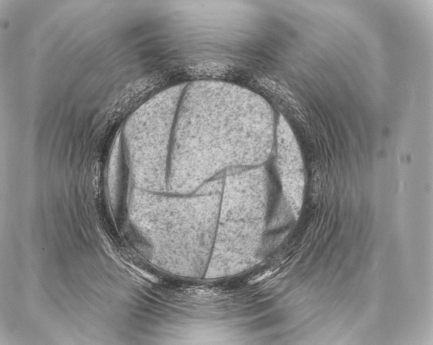 X0000087000498200705141809