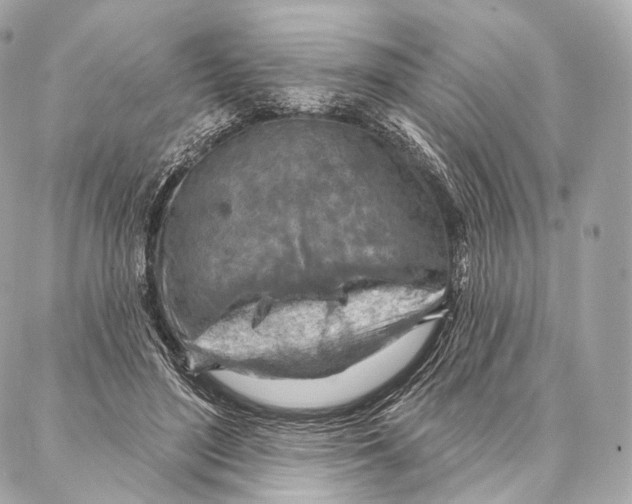 X0000087000500200705141809