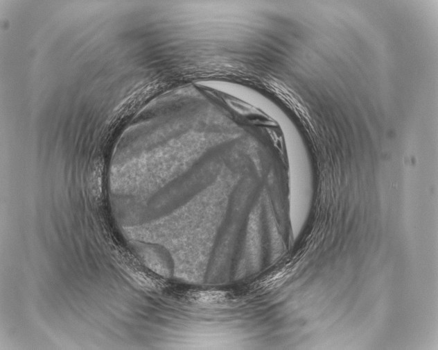 X0000087000501200705141809