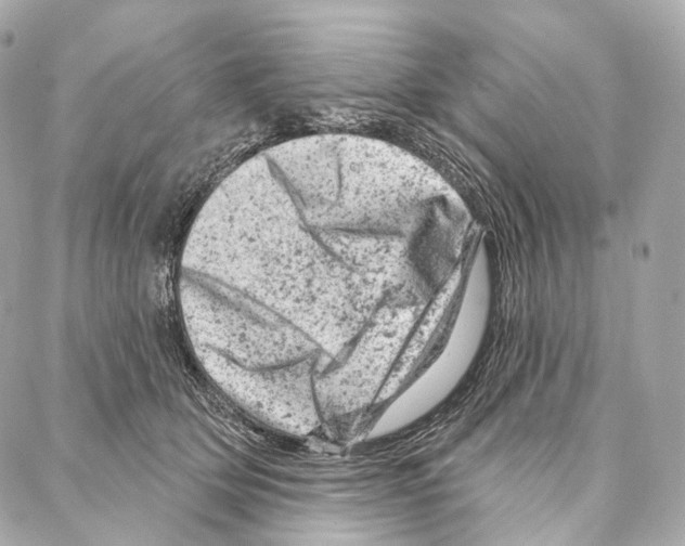 X0000087000514200705141809