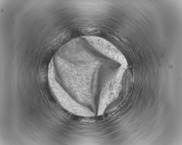 X0000087000515200705141809