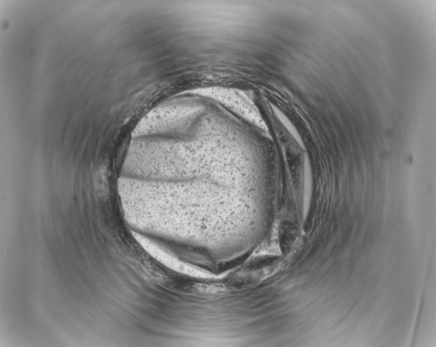 X0000087000520200705141809
