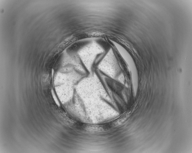 X0000087000521200705141809