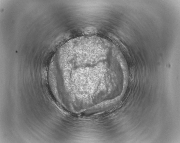 X0000087000523200705141809