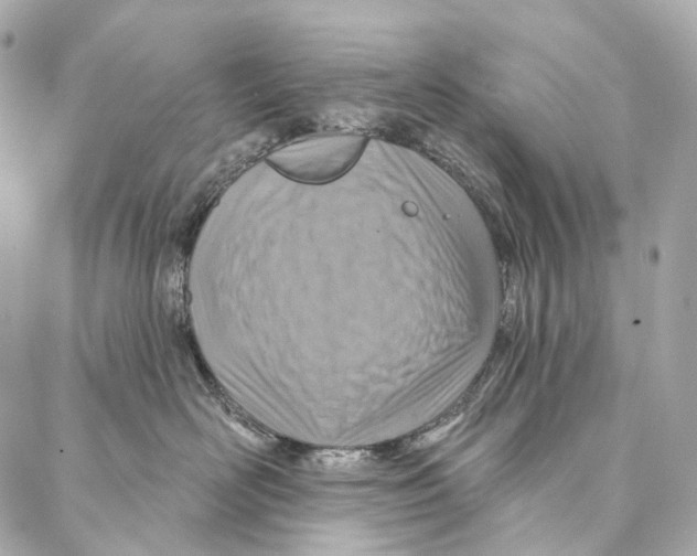 X0000087000526200705141809