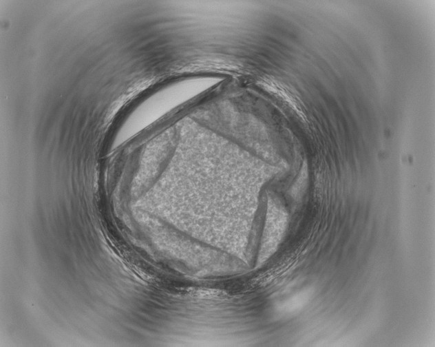X0000087000539200705141808