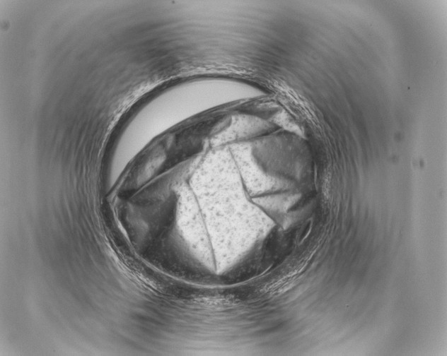 X0000087000540200705141808