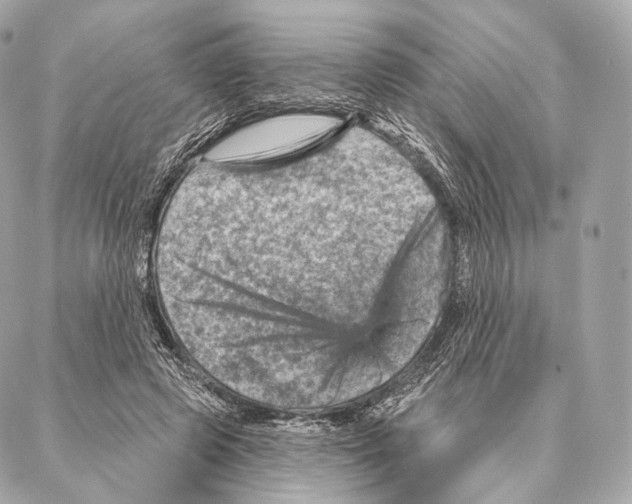 X0000087000545200705141808