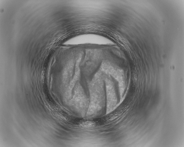 X0000087000551200705141808