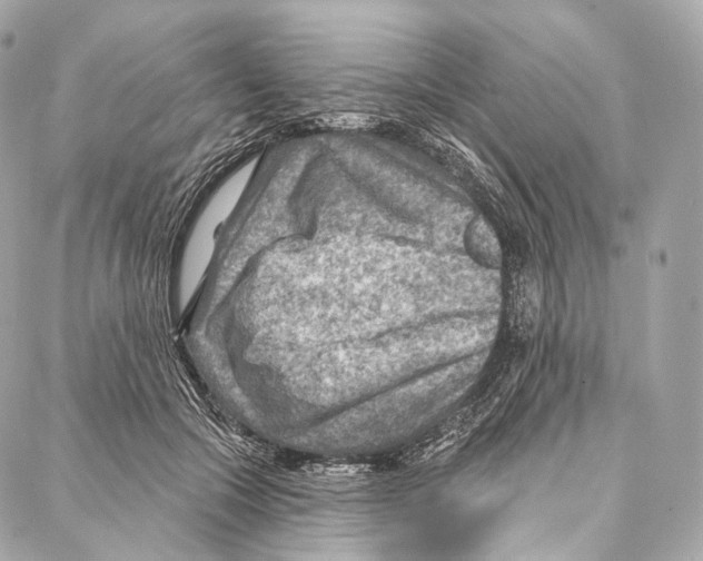 X0000087000553200705141809