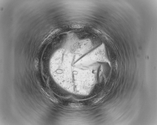 X0000087000556200705141809