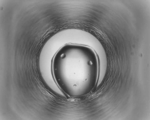 X0000087000558200705141809