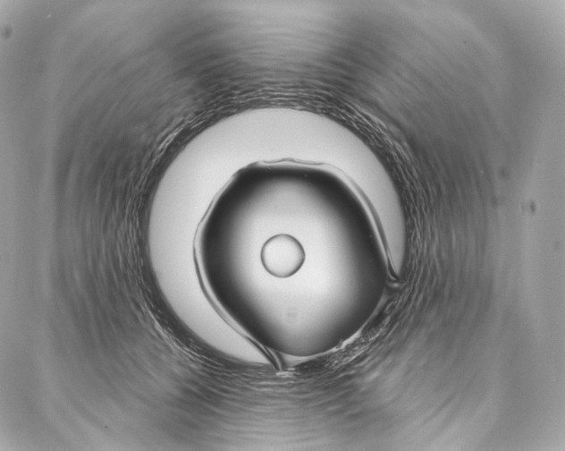 X0000087000560200705141809