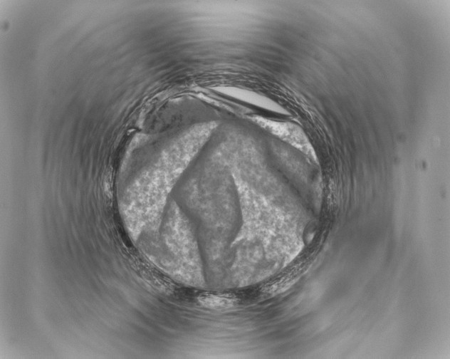 X0000087000561200705141809