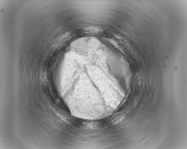 X0000087000564200705141809