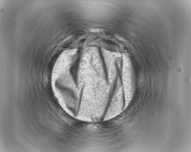 X0000087000566200705141809